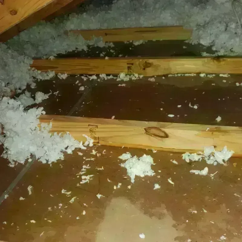 Attic Water Damage in Canutillo, TX