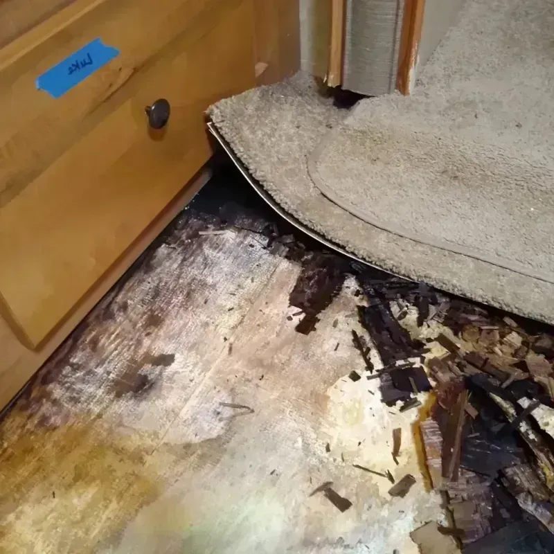 Wood Floor Water Damage in Canutillo, TX